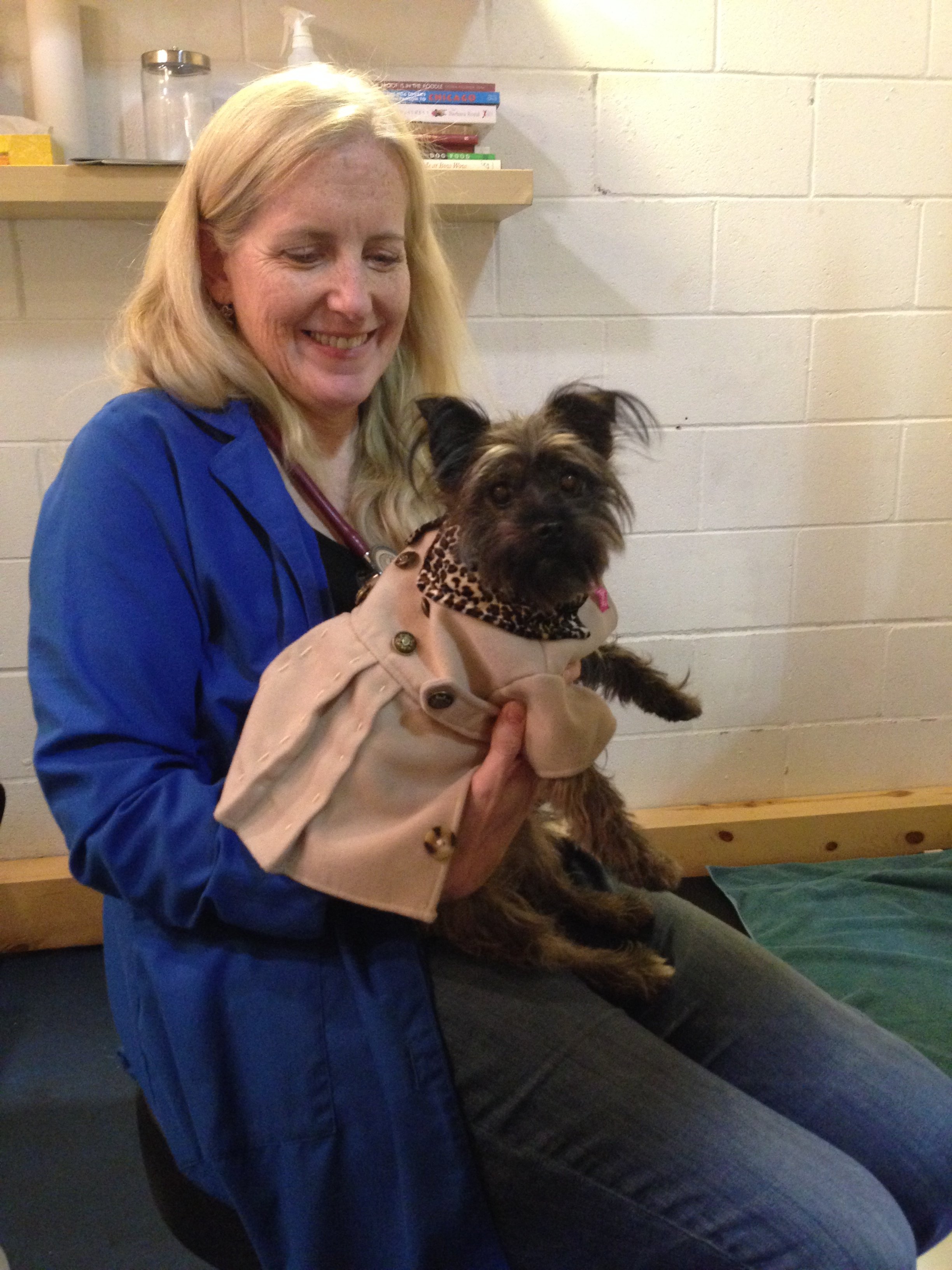 available-courses-royal-treatment-veterinary-center