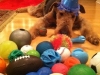 barney_turns_8