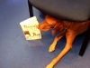 bookreader3