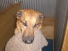 Henry & His Towel Henry & His Towel