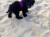 emily-at-the-beach