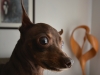 Harv E!