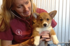 Ophelia's First Visit