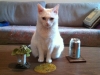 photo-2_2
