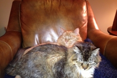 Wrigley & Philip