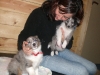 puppies-visit-chicago-veterinarian puppies-visit-chicago-veterinarian