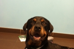 Sam smiling! Sam smiling!