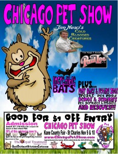 Chicago Pet Show Flyer