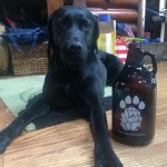 A growler with paws with a Paw Paw growler.