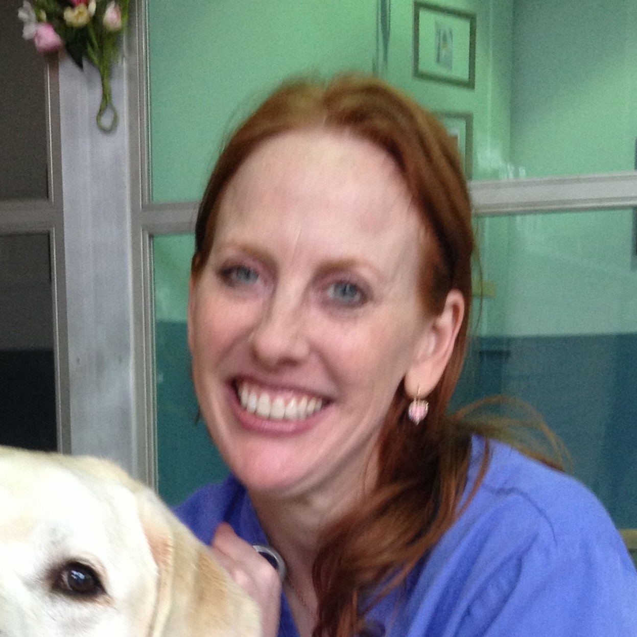 Dr. Maria VonderHaar, DVM, CVA, CVSMT