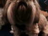photo-2-1